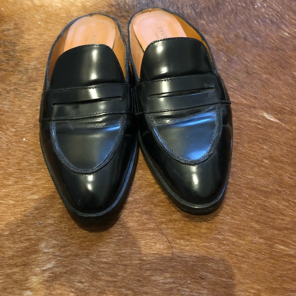 Everlane Modern Penny Mule